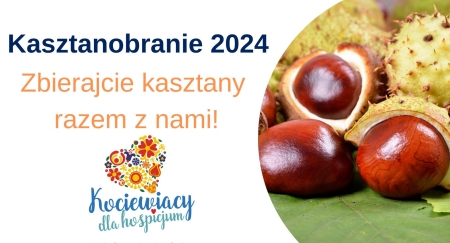 Kasztanobranie 2024 - Akcja Fundacji Kociewiacy dla Hospicjum